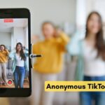 TikTok account viewer concept showing anonymous profile browsing and social media analysis on mobile screen