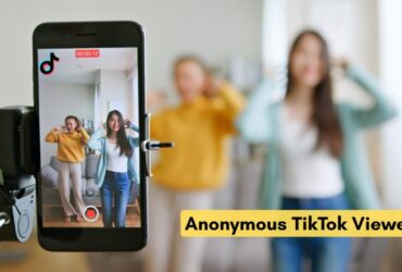 TikTok account viewer concept showing anonymous profile browsing and social media analysis on mobile screen
