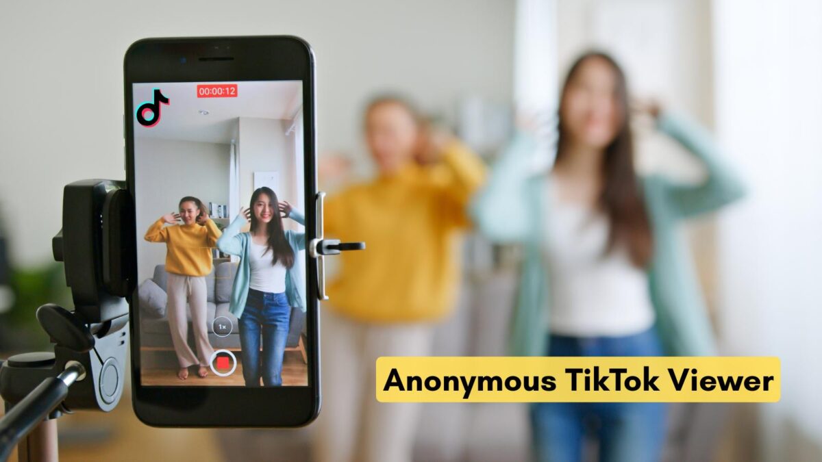 TikTok account viewer concept showing anonymous profile browsing and social media analysis on mobile screen