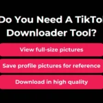 TikTok Profile Picture Downloader How to View and Download
