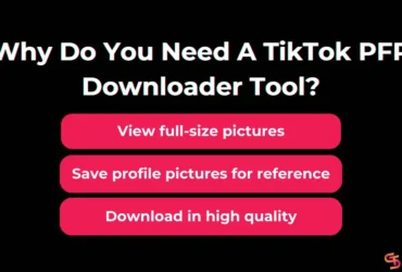 TikTok Profile Picture Downloader How to View and Download