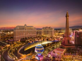 Las Vegas SEO