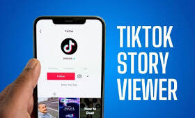 TikTok Story Viewer