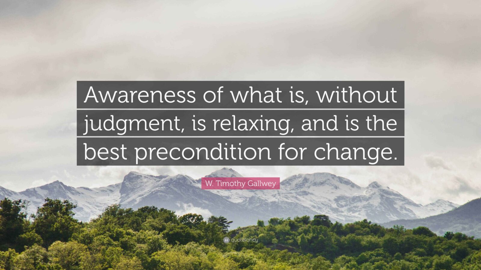 Awareness Without Judgment